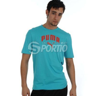 Koszulka Puma Logo T Shirt Snr sbr